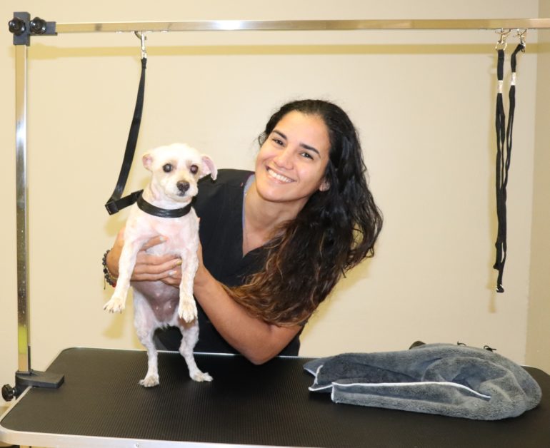 Kate the Groomer