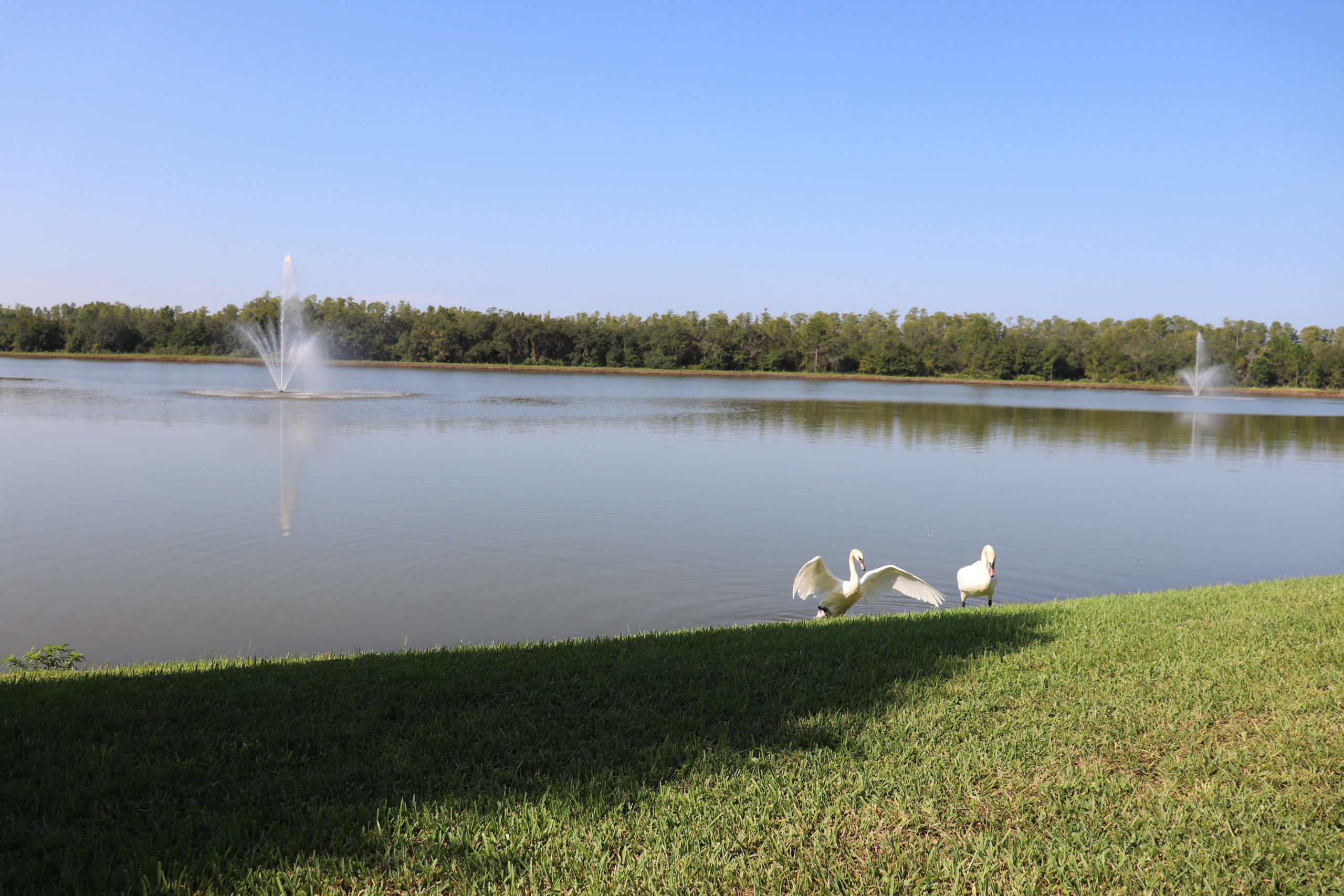 Lake Sylvia