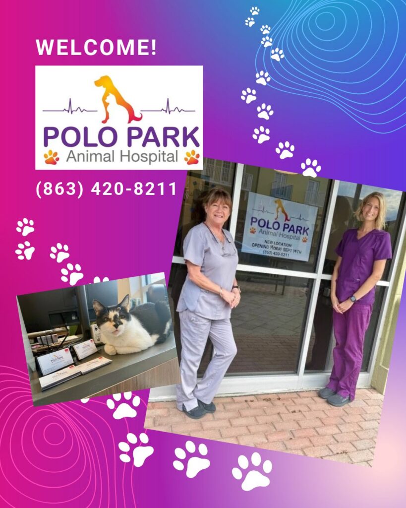 polo park animal
